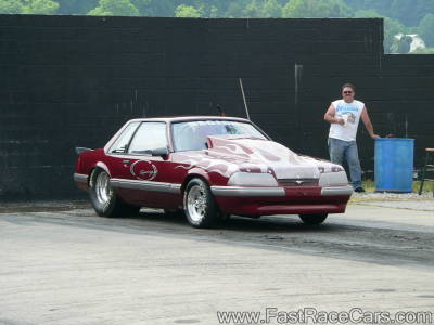 Mustang Mustang